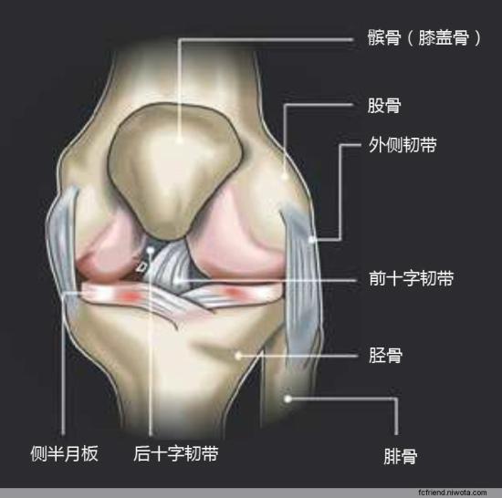 预防软组织损伤