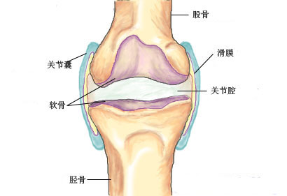 如何预防膝关节